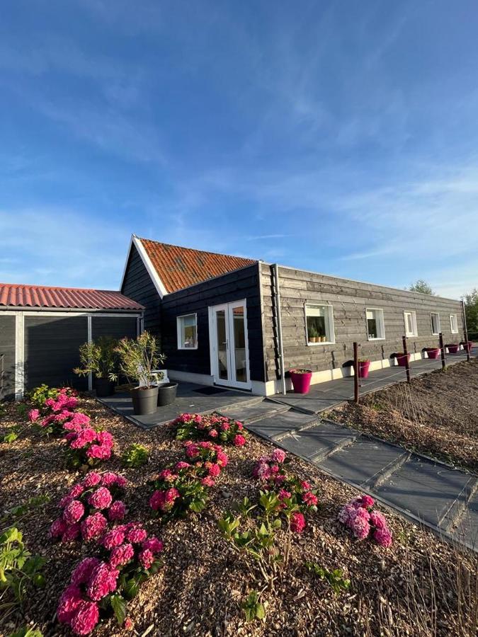 De Tulp Bed & Breakfast Noordgouwe Ngoại thất bức ảnh
