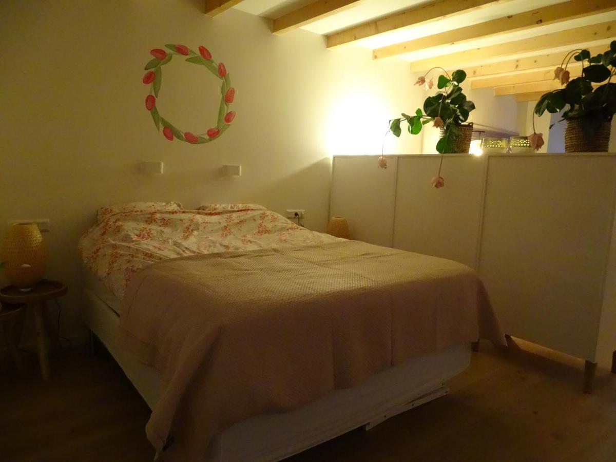 De Tulp Bed & Breakfast Noordgouwe Ngoại thất bức ảnh