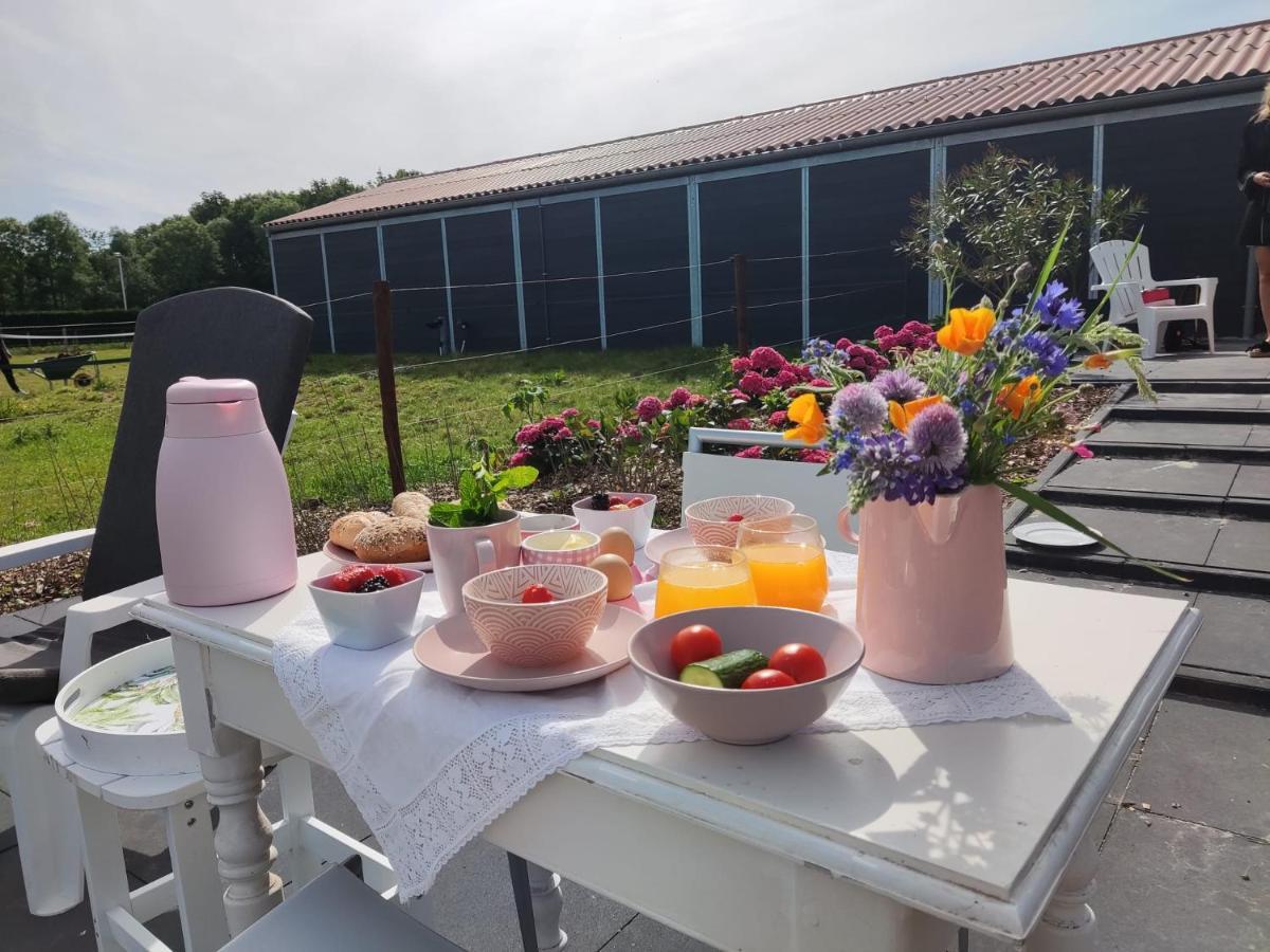 De Tulp Bed & Breakfast Noordgouwe Ngoại thất bức ảnh